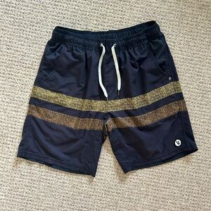 Solid + Stripe Swim Trunks